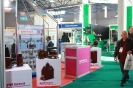 Power Kazakhstan 2013